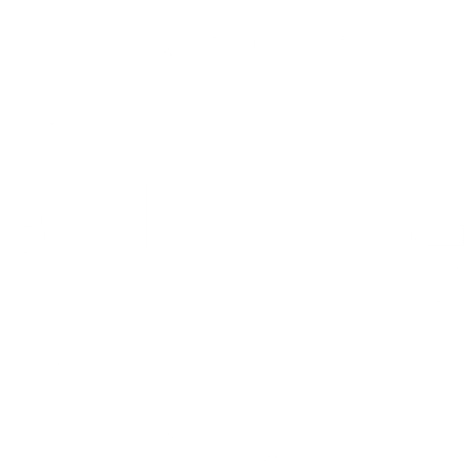 The North American Technician Excellence logo